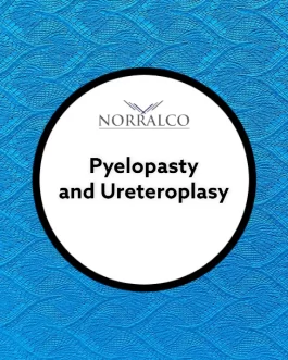 Pyeloplasty and Urethroplasty